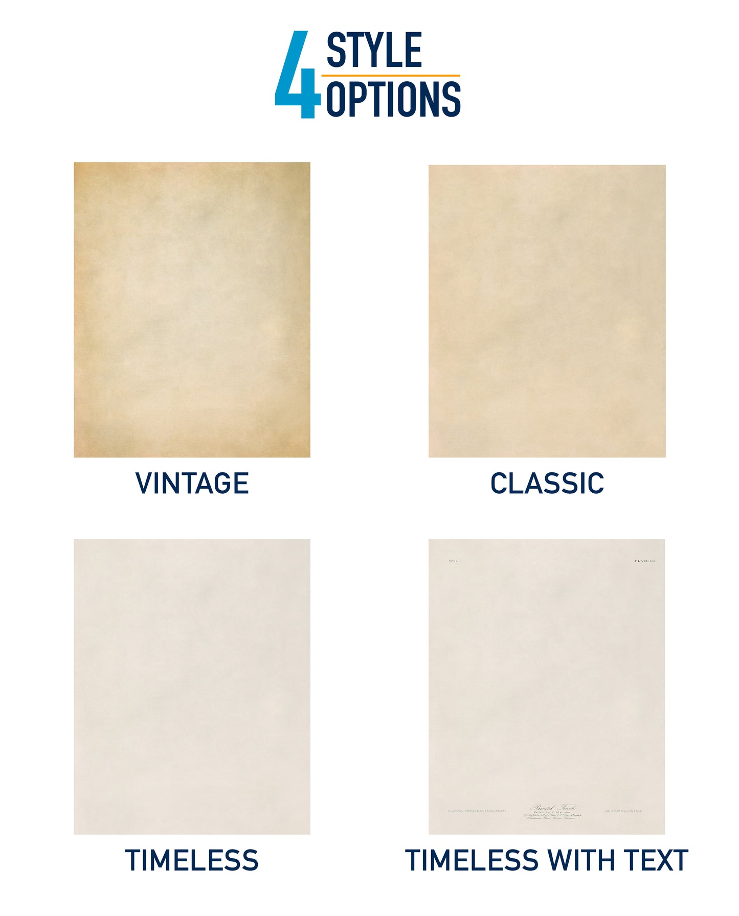 four different styles of paper or cardstock, each with a unique color and design. The styles are labeled as "Vintage", "Classic", "Timeless", and "Timeless with Text".