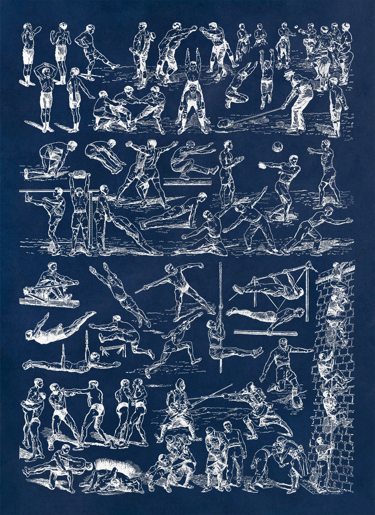 Fitness Workout and Sport Training Illustration Print, AM125