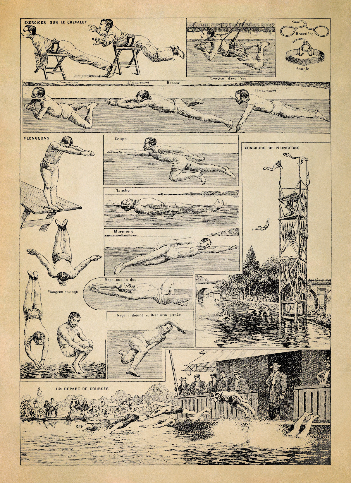 Vintage Swimming Techniques Illustration Print, FD17
