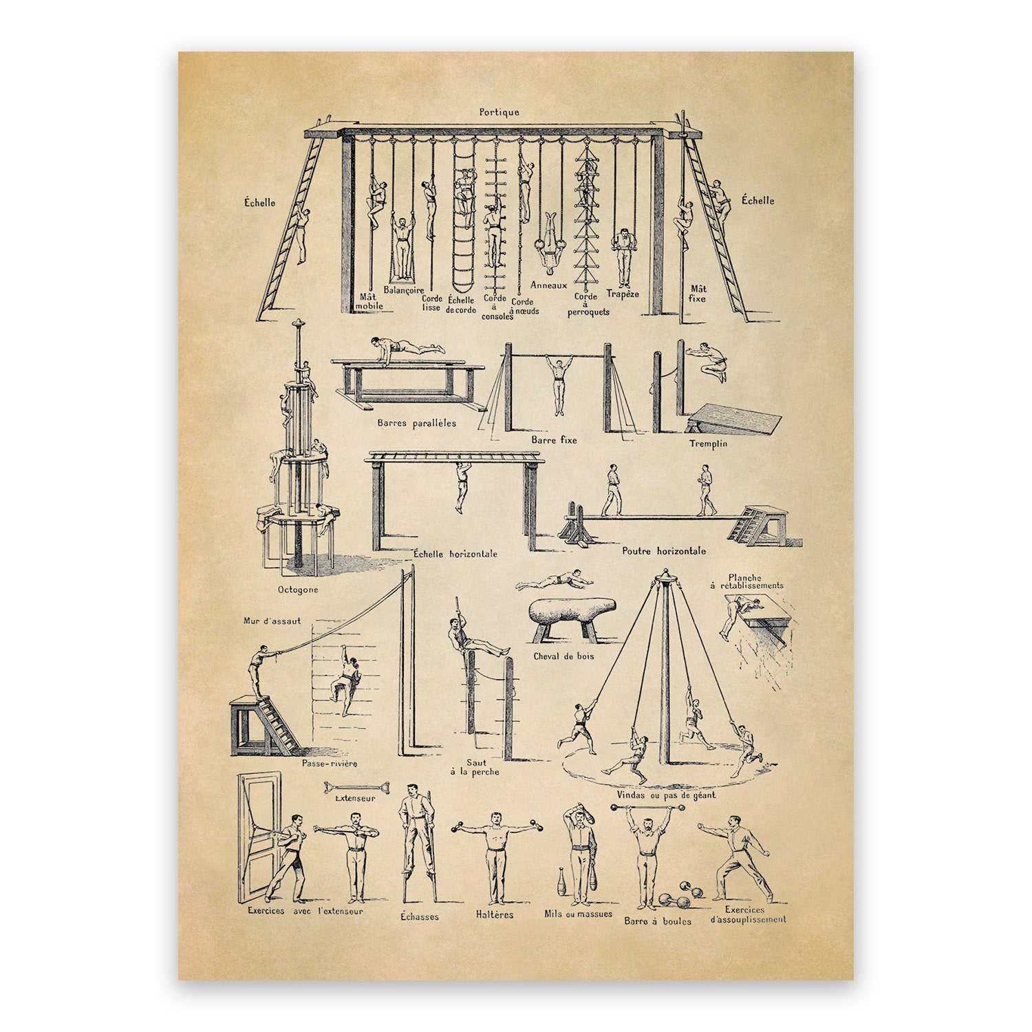 Sports, Fitness & Athletics