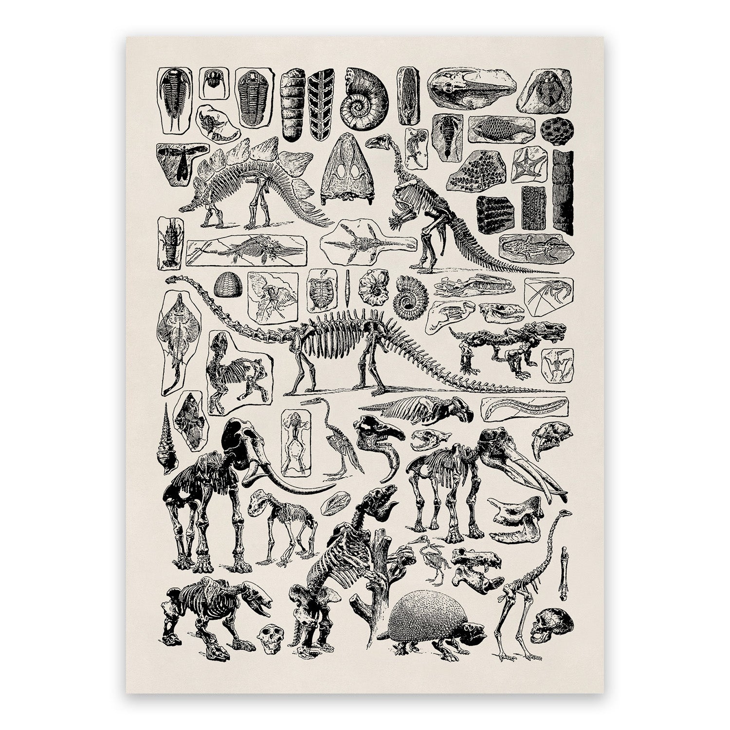 Odds & Ends: Misc Encyclopedia Art