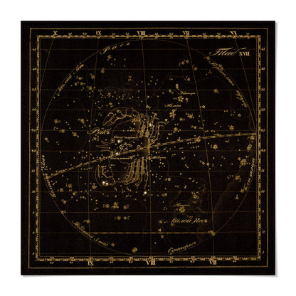 The image is a detailed astrological chart of the zodiac, featuring a detailed illustration of the constellations and their positions in the night sky.