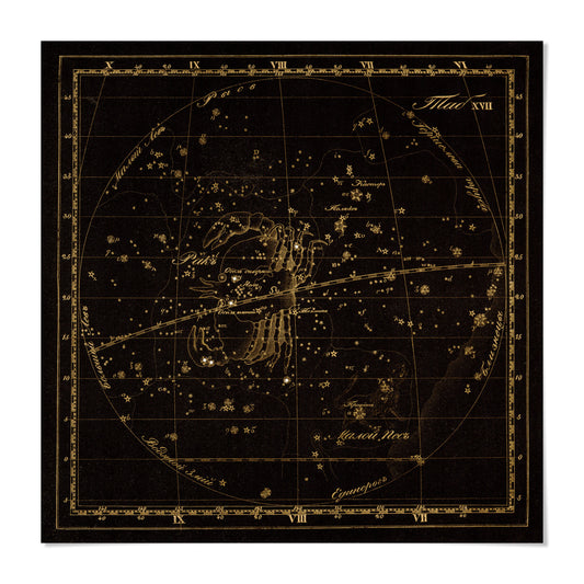 The image is a detailed astrological chart of the zodiac, featuring a detailed illustration of the constellations and their positions in the night sky.