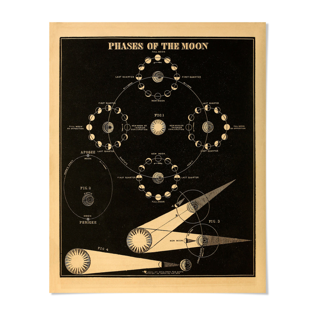 The image is a black and white illustration depicting the phases of the moon, including the waxing and waning phases, the new moon, the first quarter, the full moon, and the last quarter.