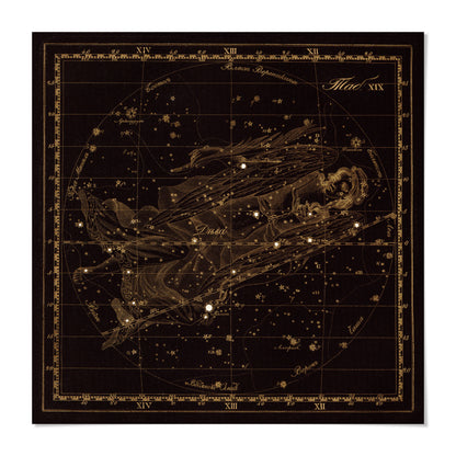 The image is a detailed star chart depicting the constellation of the zodiac, with various stars and celestial bodies represented.