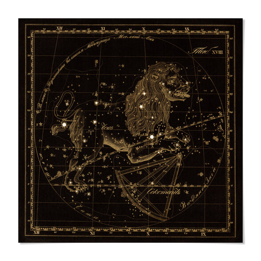 The image is a vintage astrological chart depicting a lion and various celestial objects.