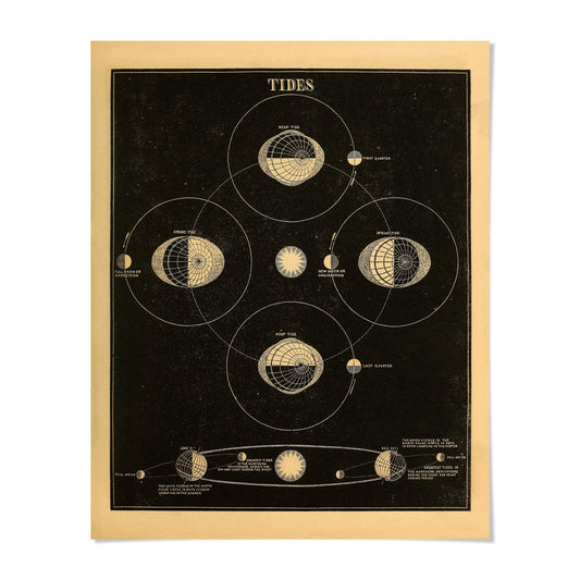 The image is a vintage poster depicting the phases of the moon, including the new moon, first quarter, full moon, spring moon, last quarter, and eclipse.