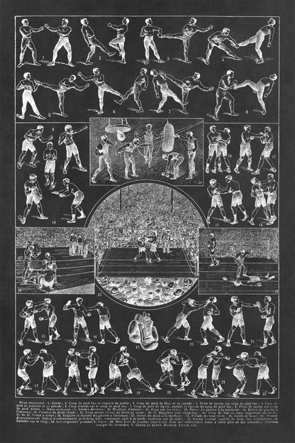 Vintage Boxing Styles and Training Illustration Print, AM121