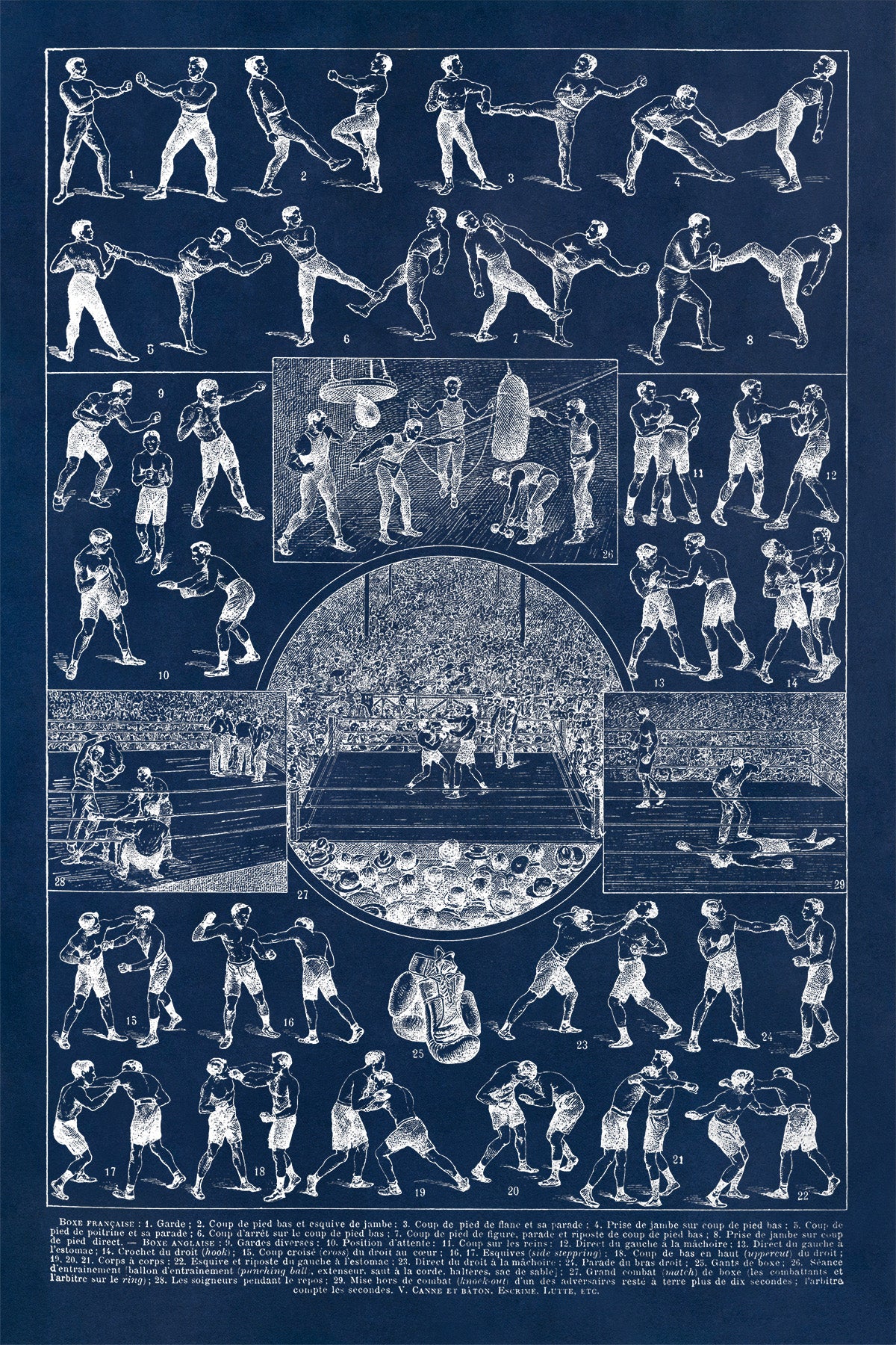 Vintage Boxing Styles and Training Illustration Print, AM121