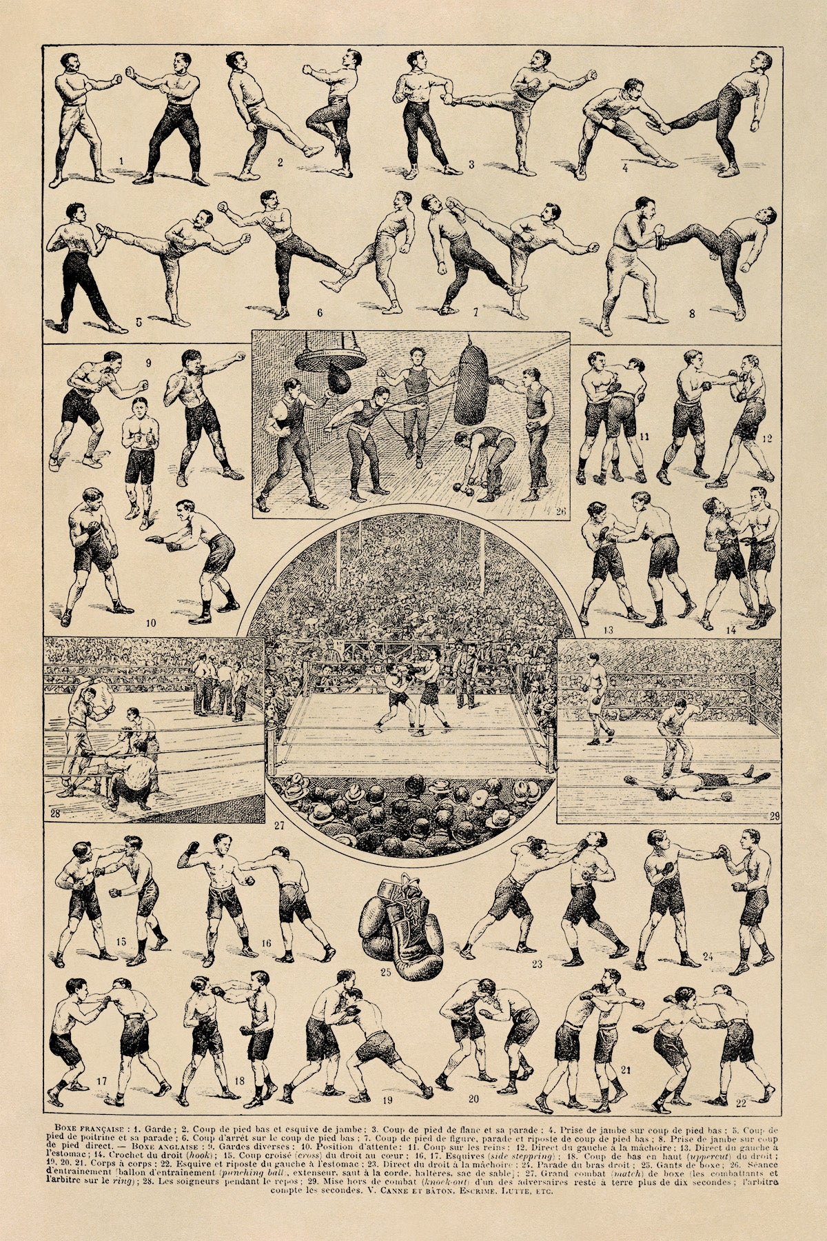 Vintage Boxing Styles and Training Illustration Print, AM121