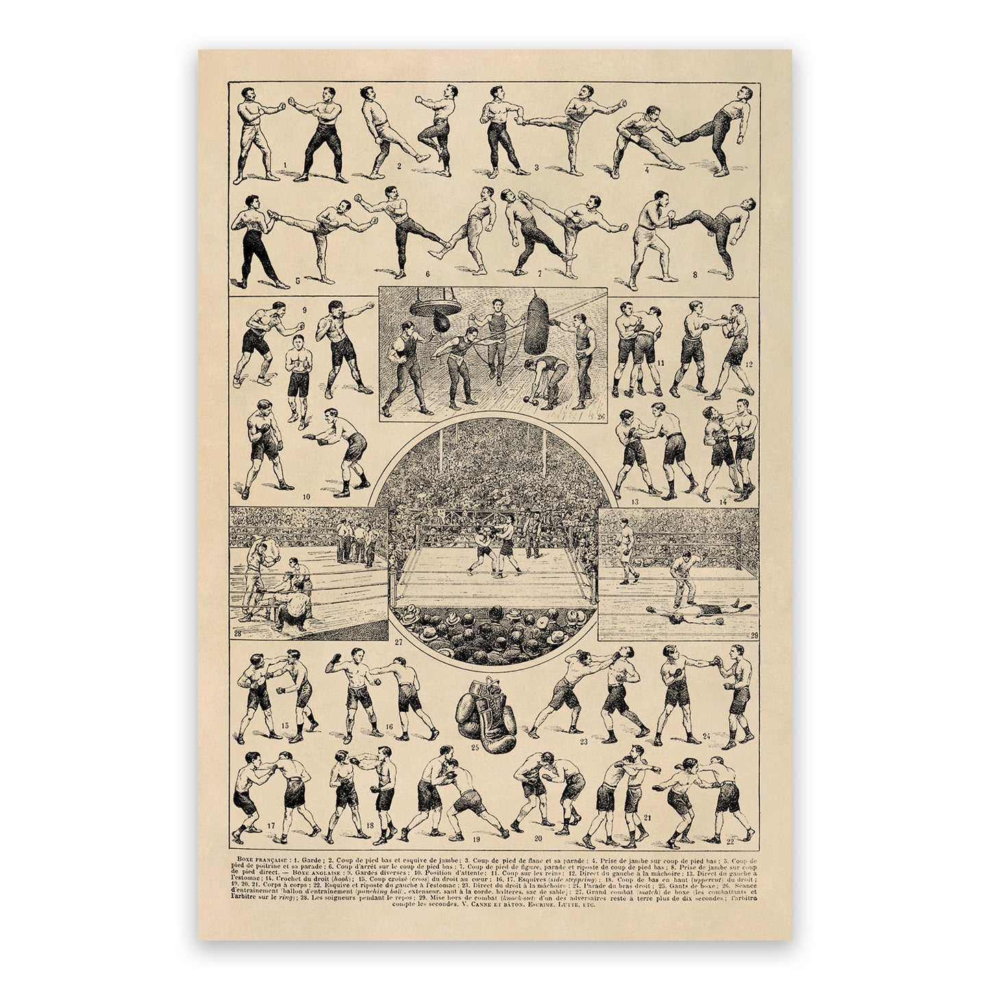 Vintage Boxing Styles and Training Illustration Print, AM121