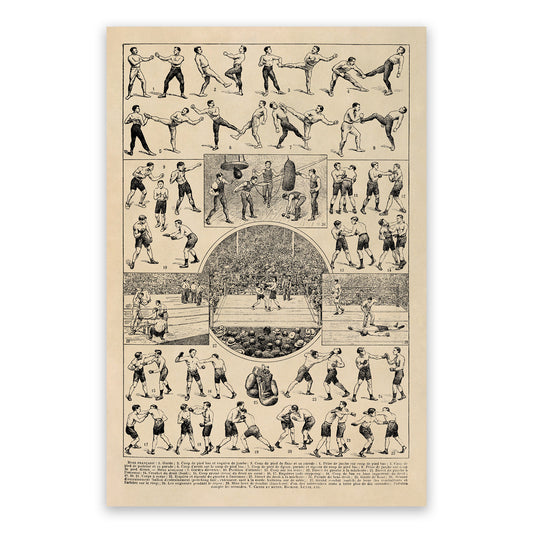 Vintage Boxing Styles and Training Illustration Print, AM121