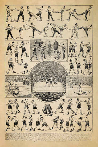 Vintage Boxing Styles and Training Illustration Print, AM121