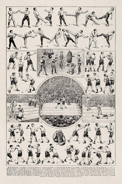 Vintage Boxing Styles and Training Illustration Print, AM121