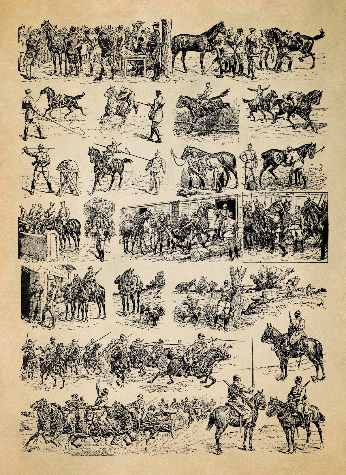 Historic Calvary Horse Training Illustration Print, AM122