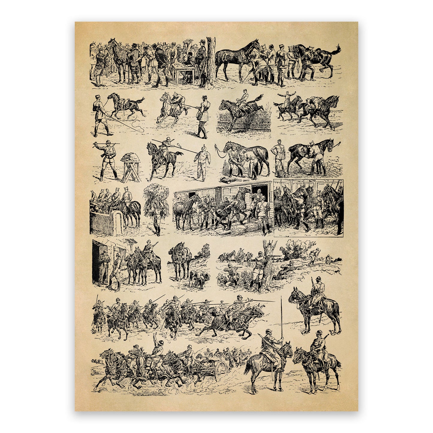 Historic Calvary Horse Training Illustration Print, AM122