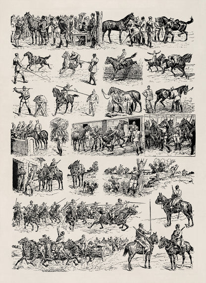 Historic Calvary Horse Training Illustration Print, AM122