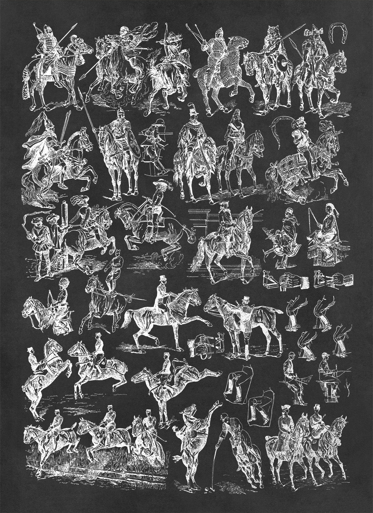 Historic Equestrian Horse Training Illustration Print, AM123