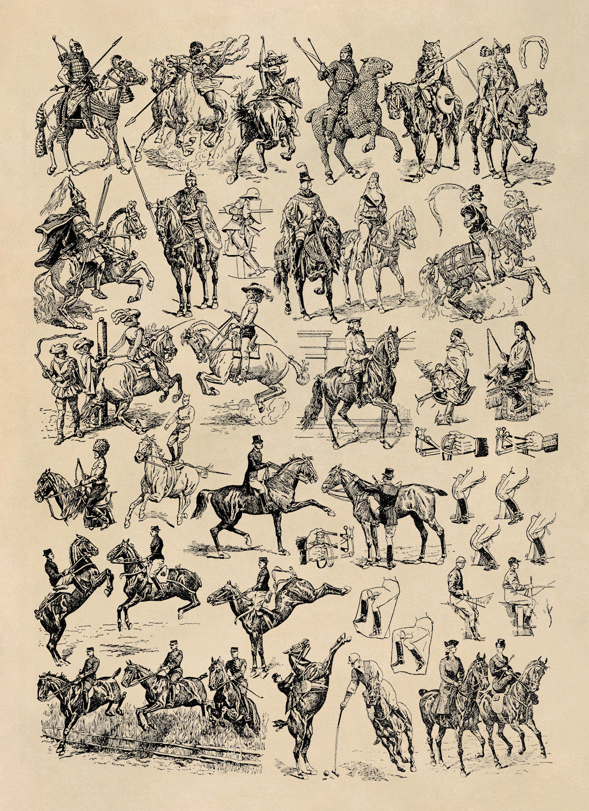 Historic Equestrian Horse Training Illustration Print, AM123