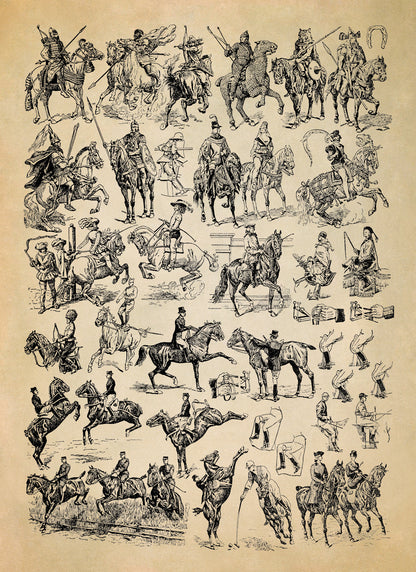 Historic Equestrian Horse Training Illustration Print, AM123