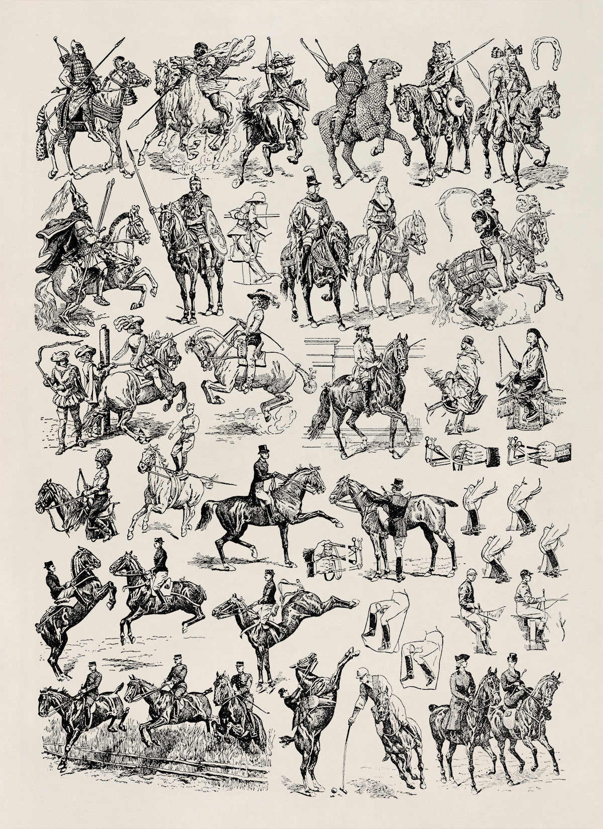 Historic Equestrian Horse Training Illustration Print, AM123