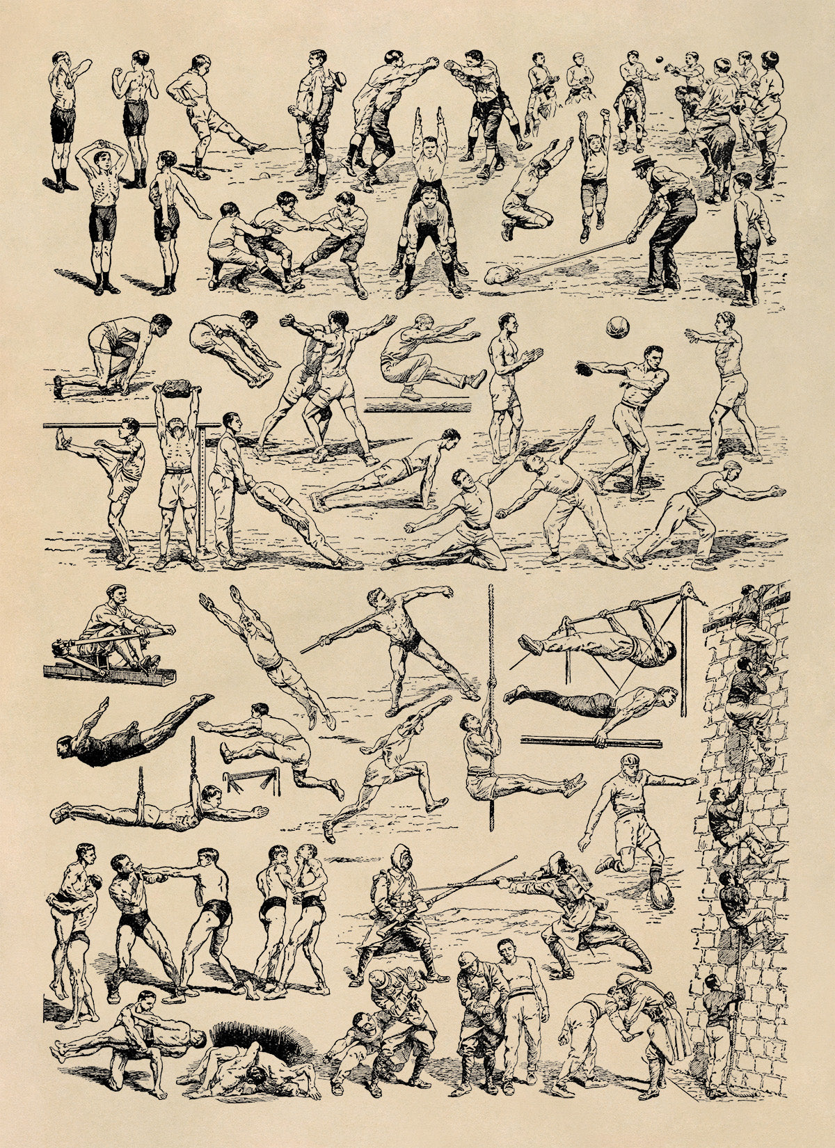 Fitness Workout and Sport Training Illustration Print, AM125