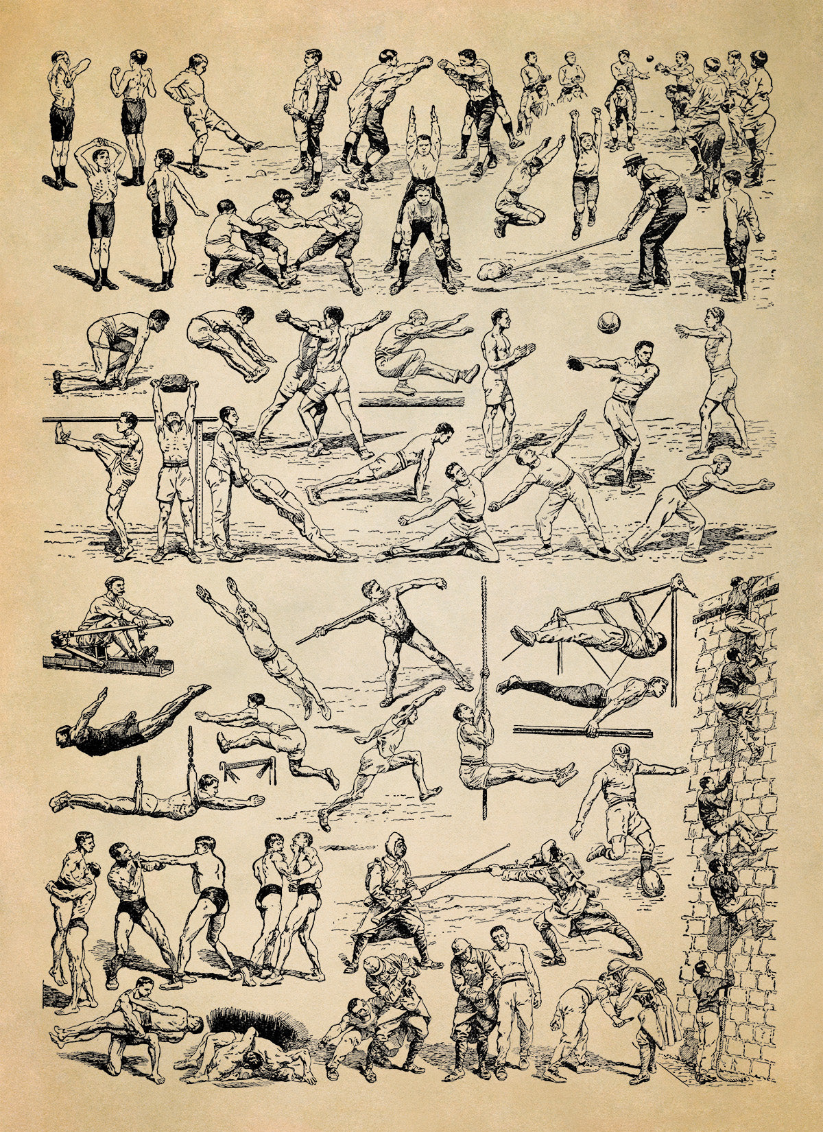 Fitness Workout and Sport Training Illustration Print, AM125