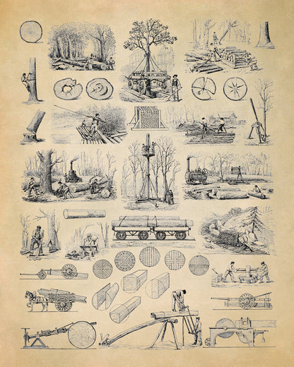 Forestry and Wood Cultivation Illustration Print, Am138