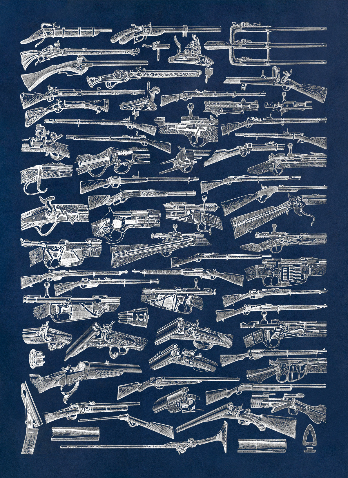 Antique Firearms Illustration Print, AM144