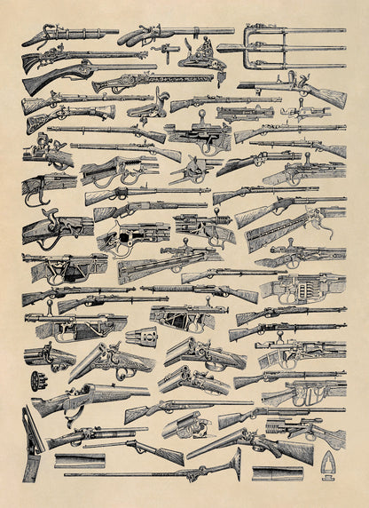 Antique Firearms Illustration Print, AM144