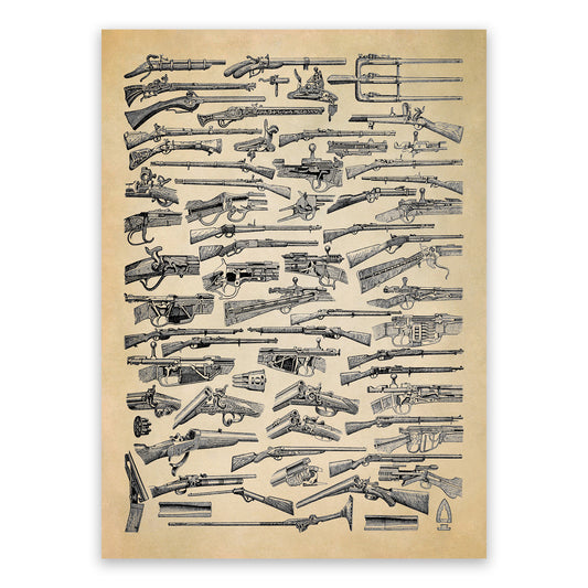 Antique Firearms Illustration Print, AM144