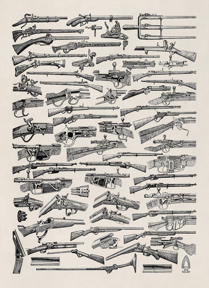 Antique Firearms Illustration Print, AM144