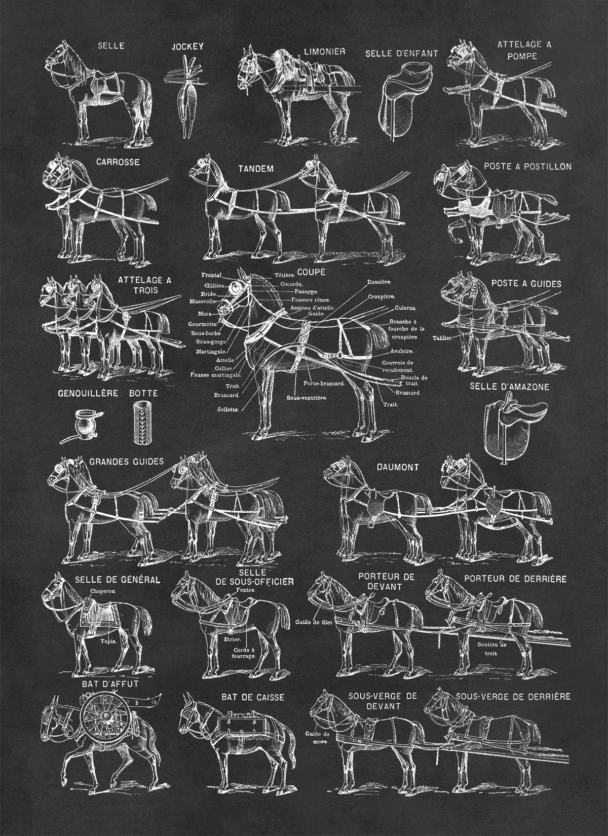 Equestrian Horse Harness Illustration Print, AM145