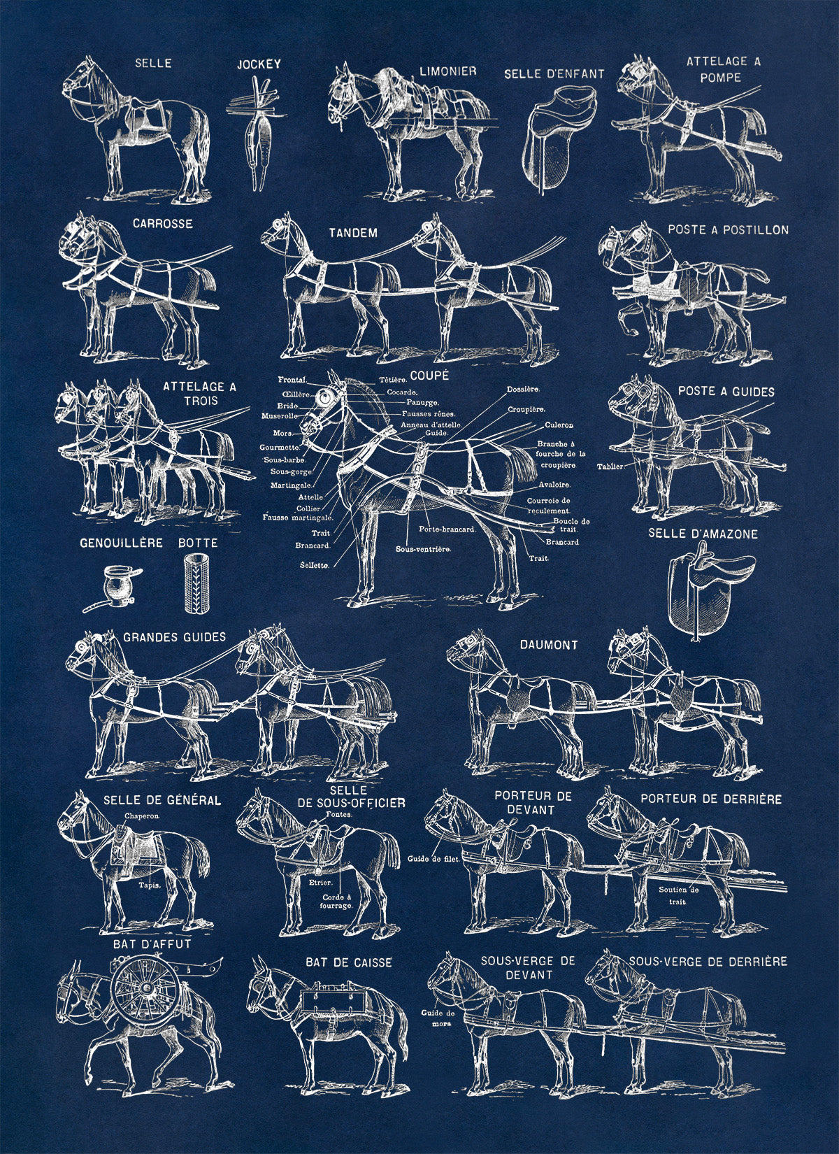 Equestrian Horse Harness Illustration Print, AM145