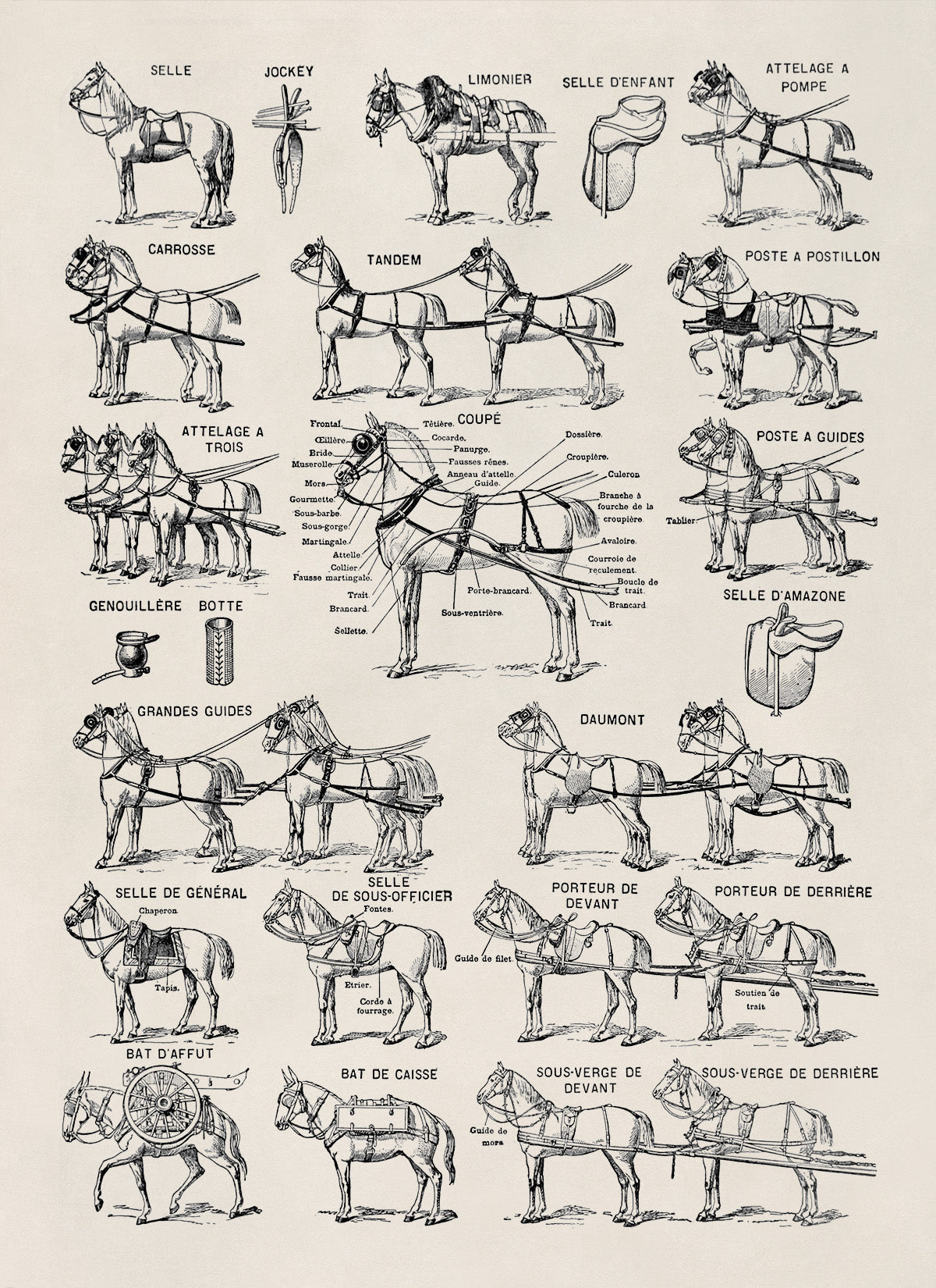 Equestrian Horse Harness Illustration Print, AM145