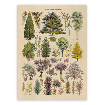 Ornamental Trees Illustration Print, AM75