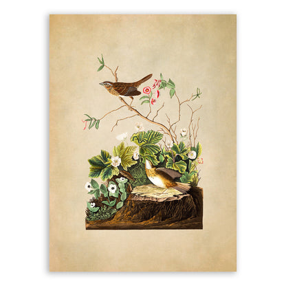 Lincoln Finch Bird Print, Vintage Style Audubon Birds Of America Illustration, AOB96