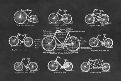 Vintage Bicycle Styles Illustration Print, FD01