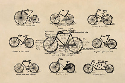 Vintage Bicycle Styles Illustration Print, FD01