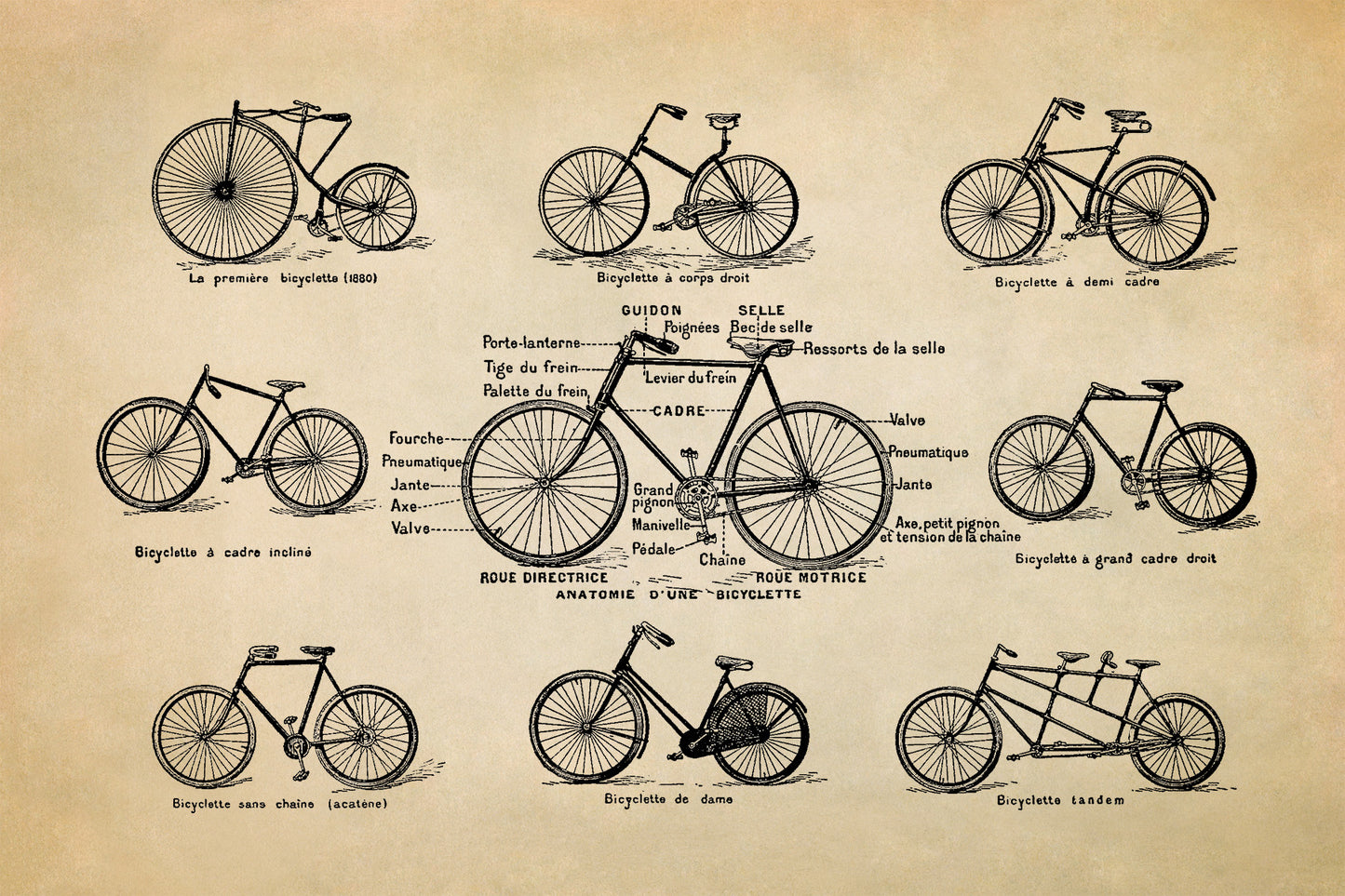 Vintage Bicycle Styles Illustration Print, FD01