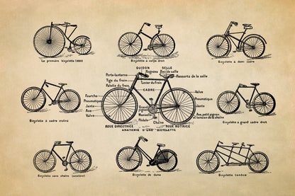 Vintage Bicycle Styles Illustration Print, FD01