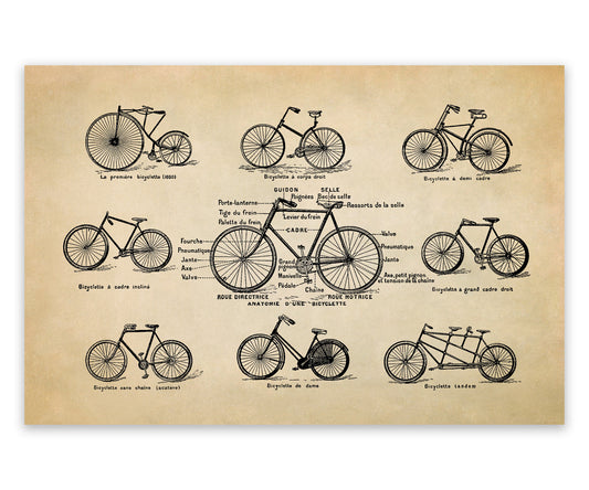 Vintage Bicycle Styles Illustration Print, FD01