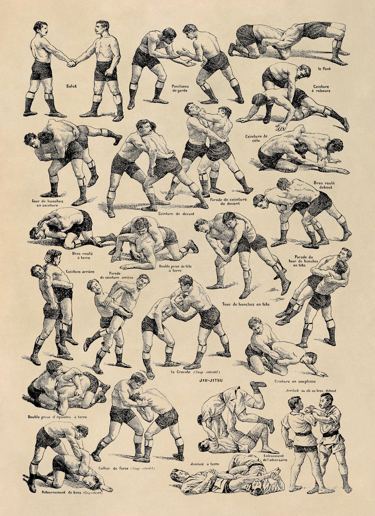 Wrestling and Jiu Jitsu Fighting Techniques Illustration Print, FD13