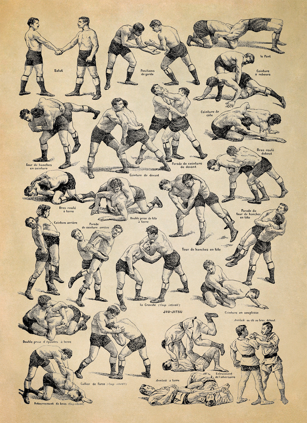 Wrestling and Jiu Jitsu Fighting Techniques Illustration Print, FD13