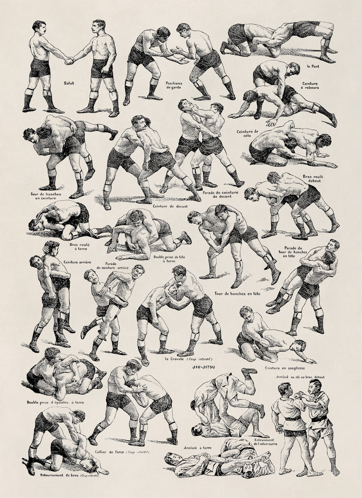 Wrestling and Jiu Jitsu Fighting Techniques Illustration Print, FD13