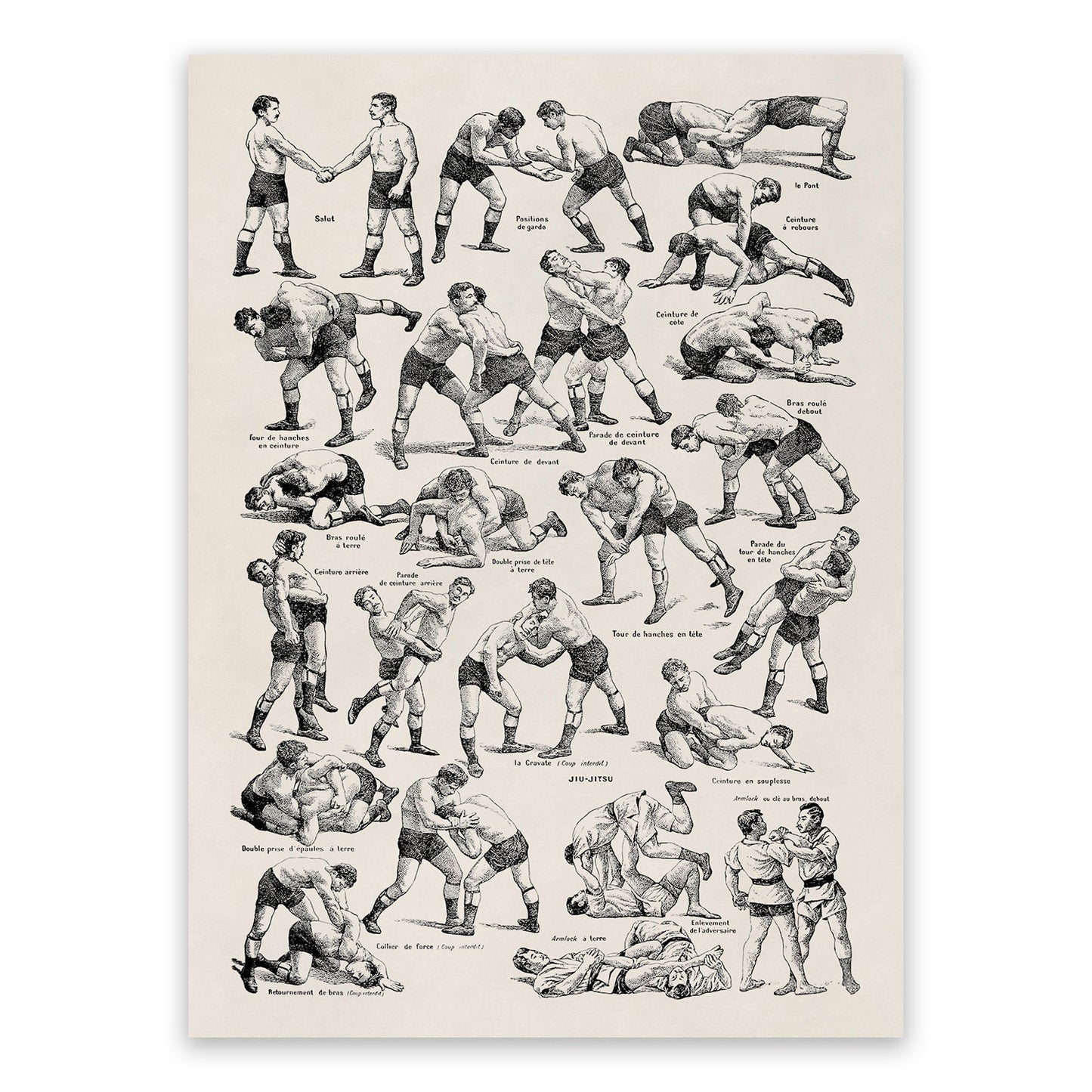 Wrestling and Jiu Jitsu Fighting Techniques Illustration Print, FD13