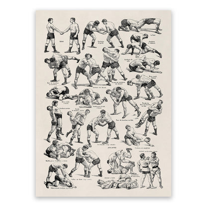 Wrestling and Jiu Jitsu Fighting Techniques Illustration Print, FD13