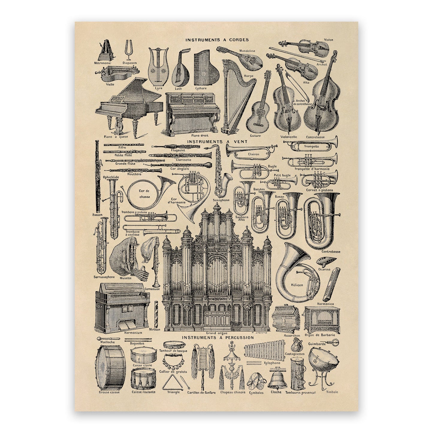 Classical Musical Instruments Illustration Print, FD16