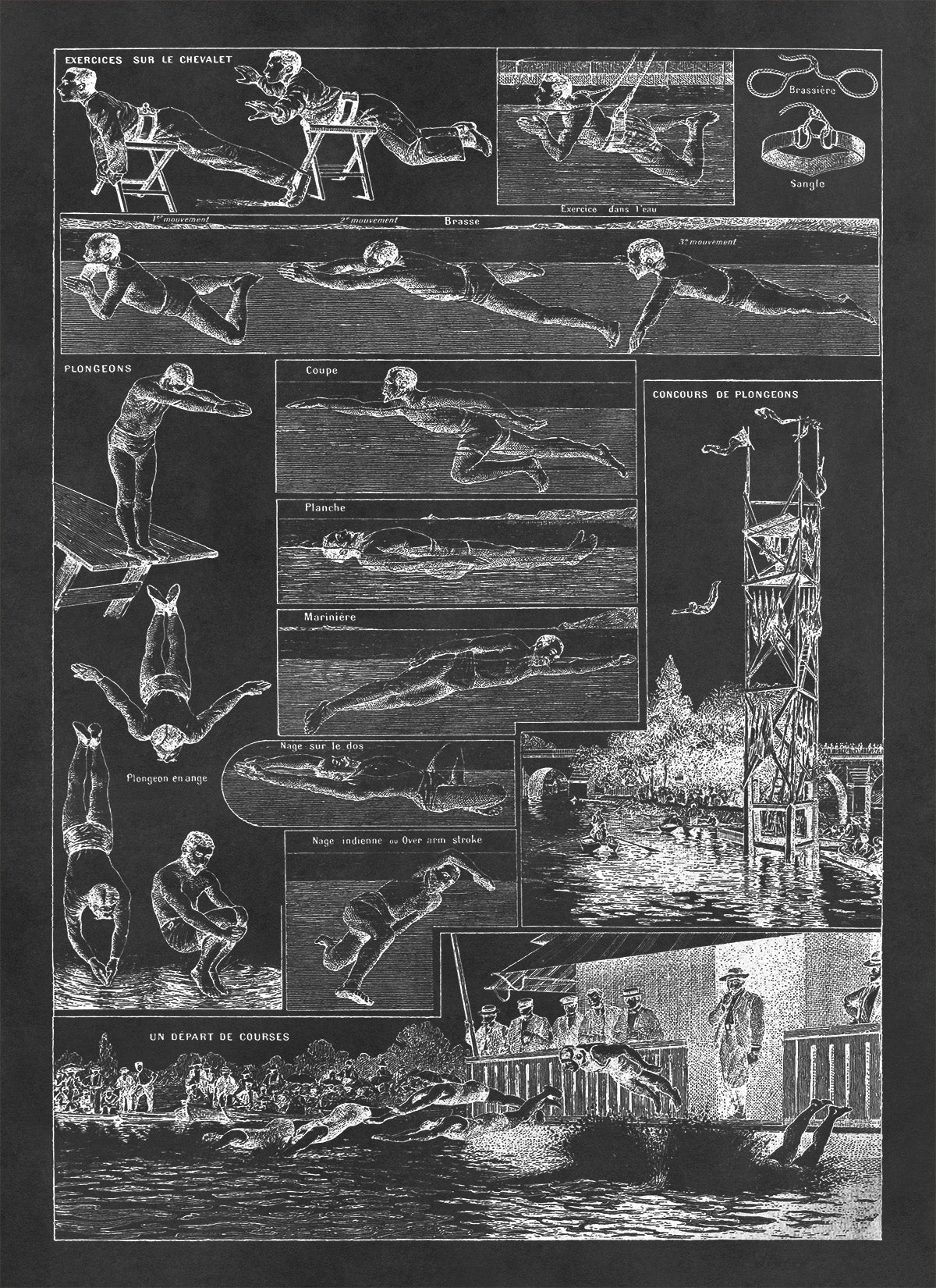 Vintage Swimming Techniques Illustration Print, FD17