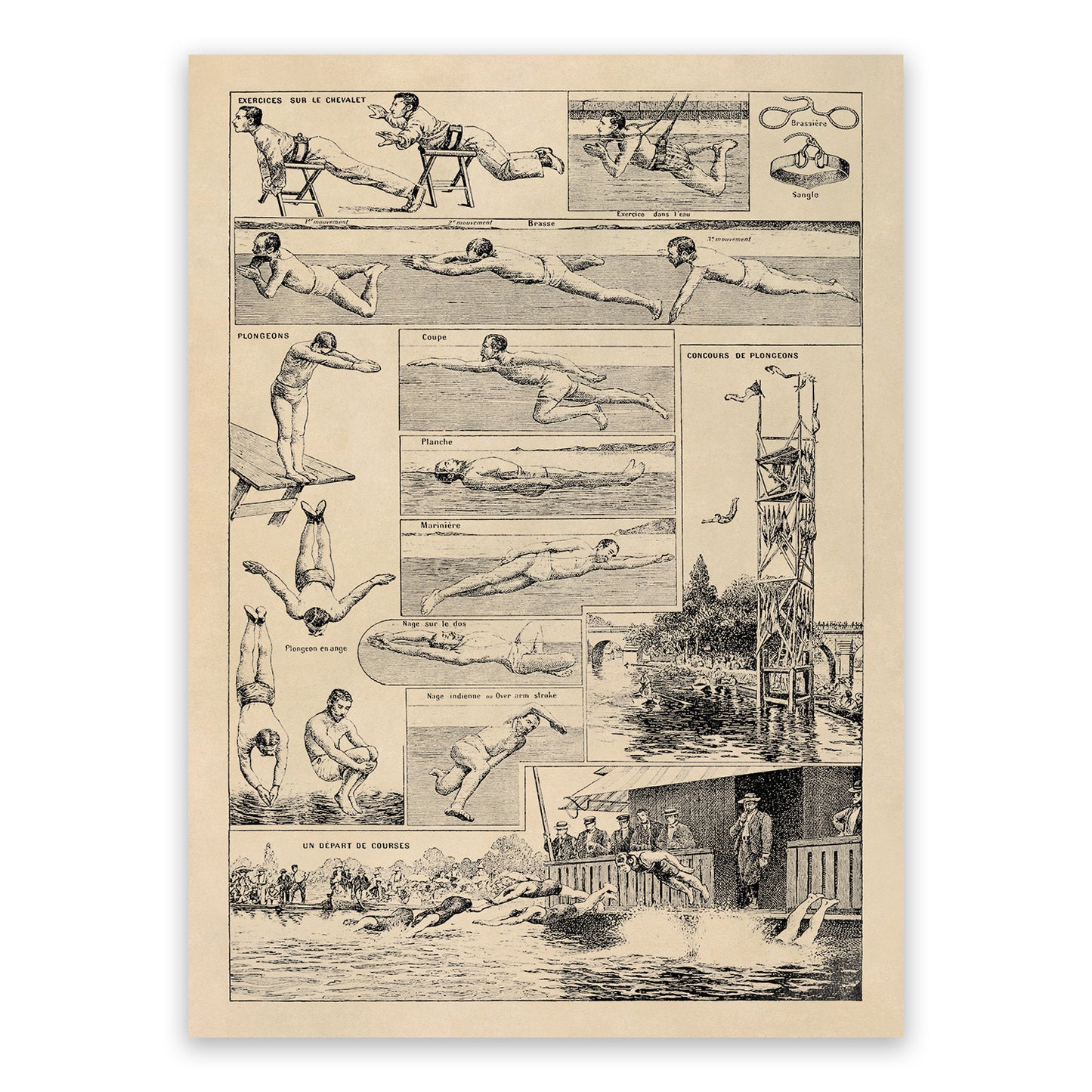 Vintage Swimming Techniques Illustration Print, FD17